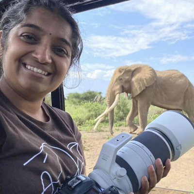 frame the wild,safaris