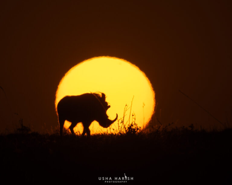 The Art of the Impossible