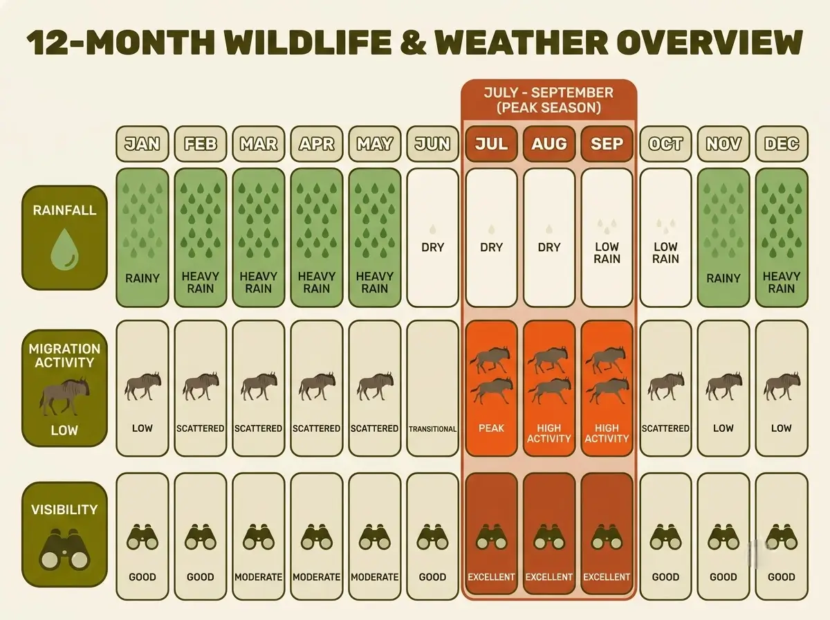 Month-by-month calendar strip showing rainfall level, migration activity and visibility rating across the year in the Masai Mara